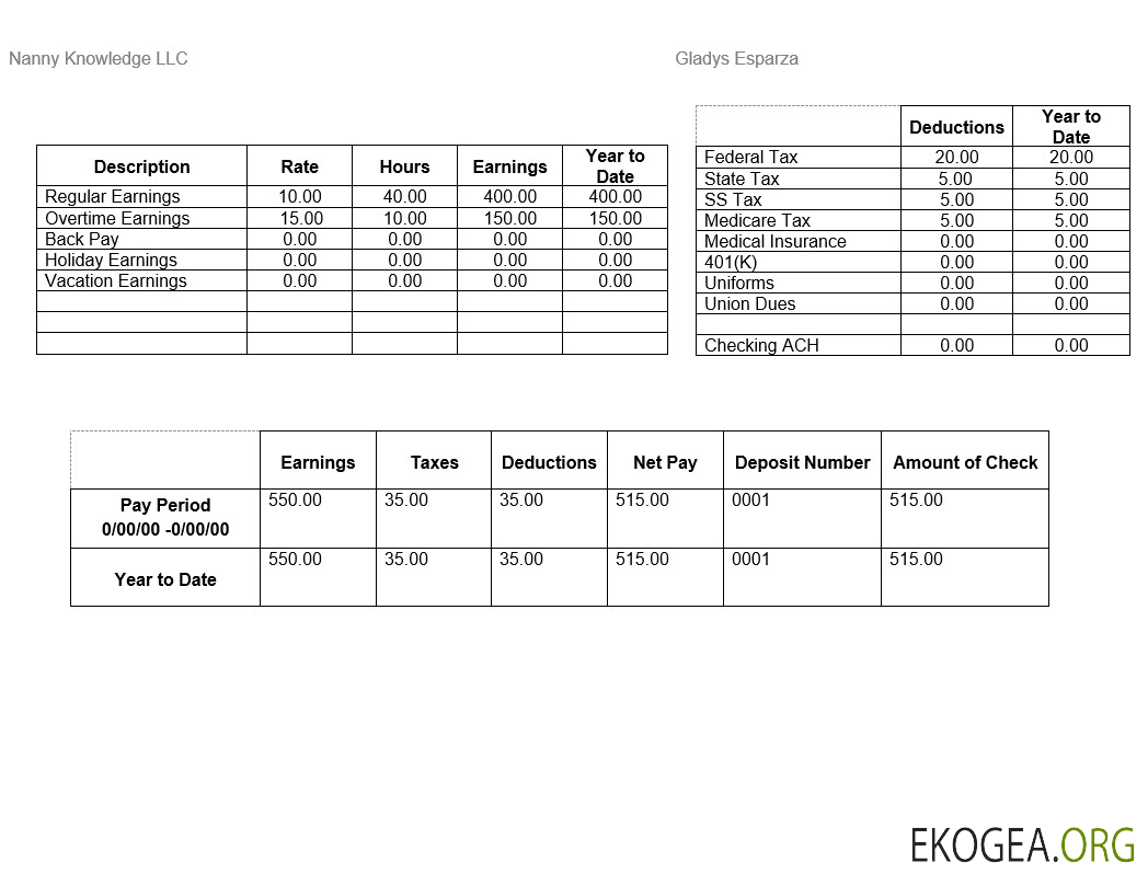Modèle Word et PDF de bulletin de paie de Nanny Knowledge LLC
